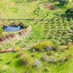 Dam and water feature at 255 Toongabbie Cowwarr Road Toongabbie VIC lifestyle acreage property Gippsland