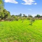 Outdoor view of lifestyle acreage property at 255 Toongabbie Cowwarr Road Toongabbie VIC Gippsland rural property